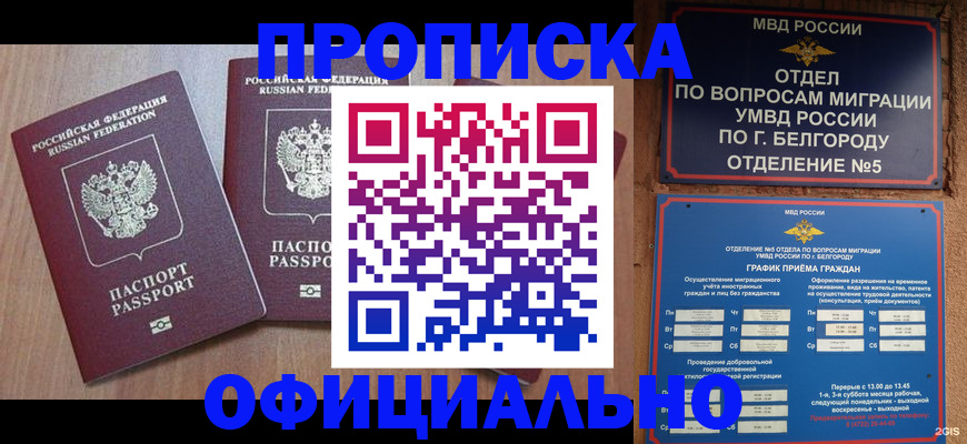 найти адрес прописки в Камбарке